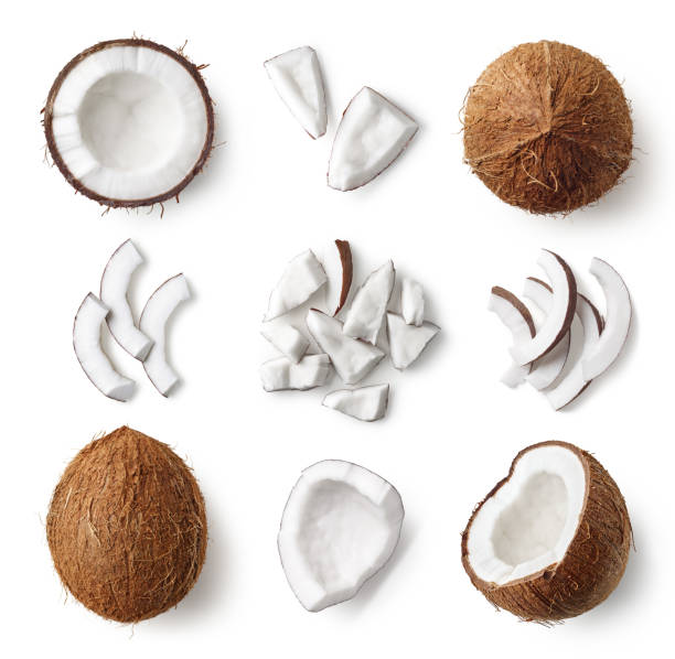 Set of fresh whole and half coconut and slices Set of fresh whole and half coconut and slices isolated on white background, top view coconut photos stock pictures, royalty-free photos & images