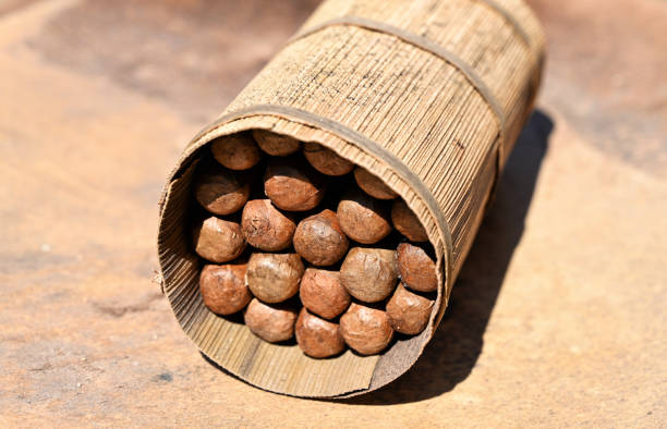 istock High angle view of handmade rolled Cuban cigars on table in Havana, Cuba 1207290230