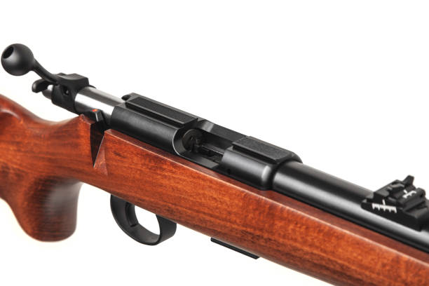 istock Small-bore rifle .22 lr isolated on white background. Modern .22lr semi-automatic rifle with a wooden butt  on a white back. Weapons for hunting sports and self-defense. 1207290608