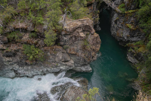 istock Forest river in El Bolson - Patagonia Argentina 1207291027