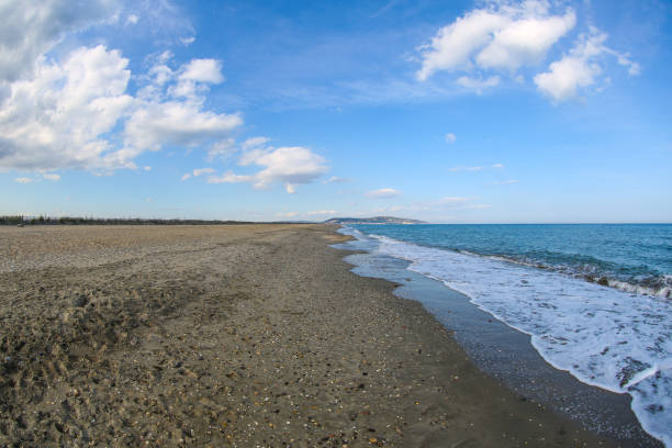 istock the French Camargue 1207294221
