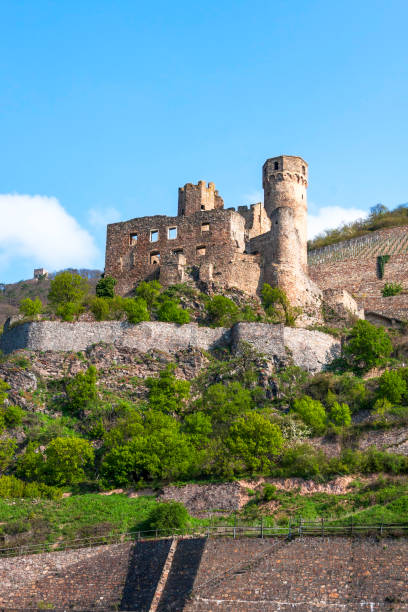 istock Abandoned Castle on a hillside by a vineyard along the Rhine River in Germany 1207296685