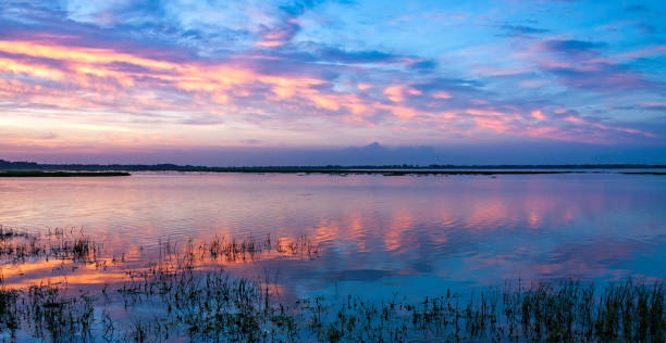 Amazing Dawn colors flow over Lake Tohopekaliga - known as one of the best Bass Fishing Lakes in the USA - located in Kissimmee, Florida Amazing Dawn colors flow over Lake Tohopekaliga - known as one of the best Bass Fishing Lakes in the USA - located in Kissimmee, Florida kissimmee stock pictures, royalty-free photos & images