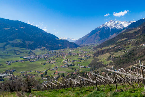 istock Merano, South Tyrol, Italy 1207298530