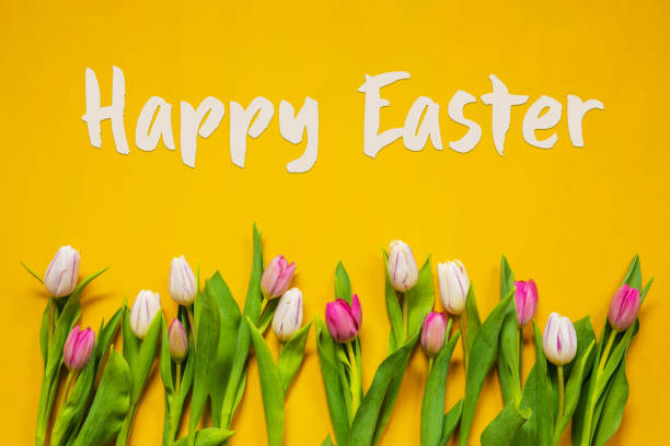 istock Colorful Tulip, Spring Flowers, Text Happy Easter, Yellow Background 1207298684