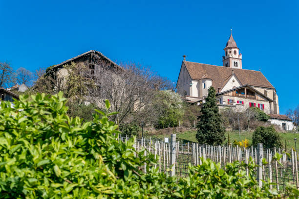 istock Merano, South Tyrol, Italy 1207298991