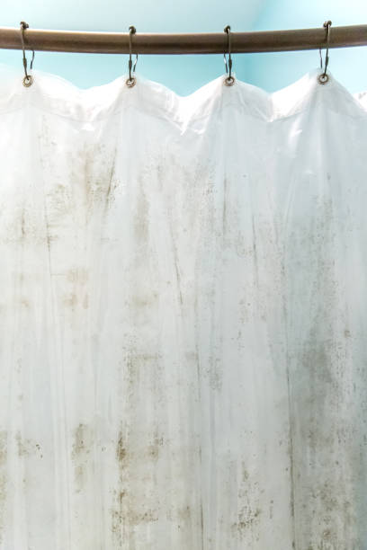 istock Dark brown mildew mold on plastic interior shower curtain in a light aqua bathroom 1207300640