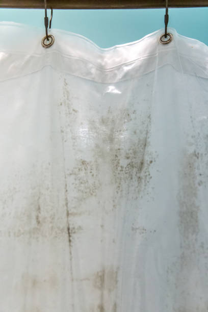 istock Dark brown mildew mold on plastic interior shower curtain in a light aqua bathroom 1207301157