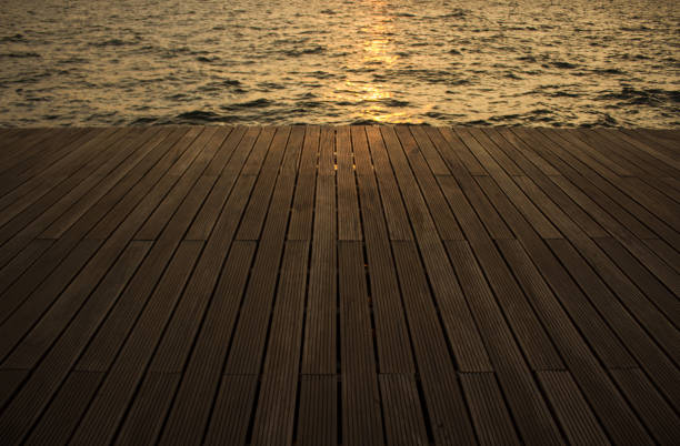 Rubber duck floating by a jetty in the sunset, Vejle Fjord