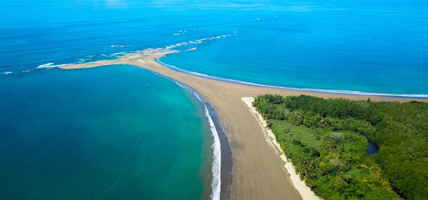 Aerial Drone View of the Whale's Tail at the Marino Ballena National Park in Uvita, Costa Rica Panorama of Marino Ballena National Park in Uvita - Punta Uvita - Beautiful beaches and tropical forest at pacific coast of Costa Rica, Aerial view tail fin photos stock pictures, royalty-free photos & images