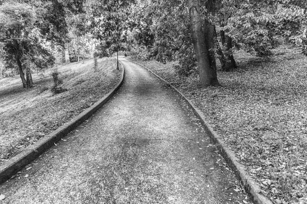 istock Scenic trail inside a public park in Rome, Italy 1207309574