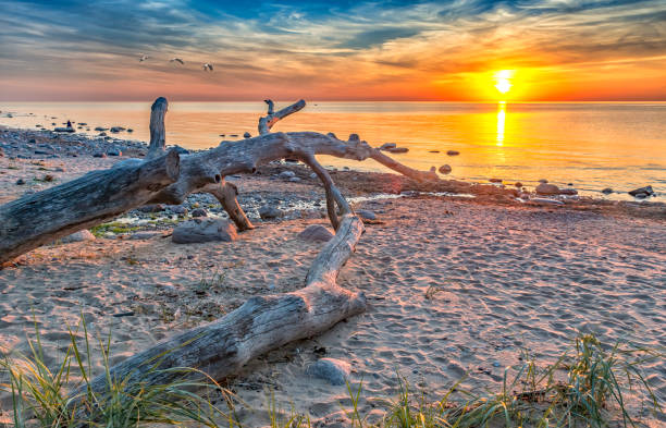 istock Stone beach after storm, Baltic Sea, Europe 1207309914