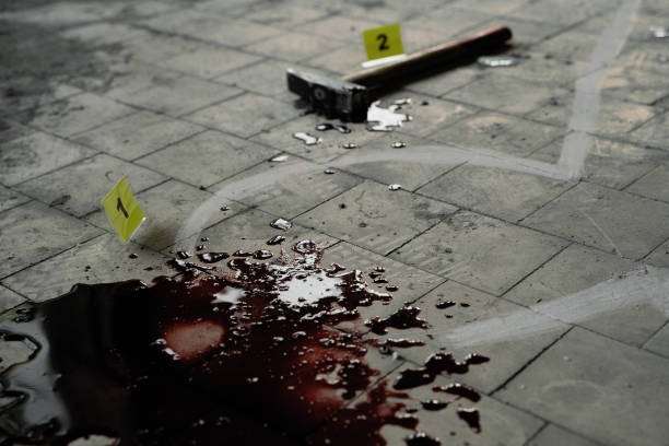 Crime scene investigation, chalk outline of victim body, blood and hammer Crime scene investigation, chalk outline of victim body, blood and hammer. criminal photos stock pictures, royalty-free photos & images
