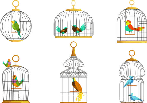 ケージコレクションのエキゾチックな鳥、白い背景にかわいいカラフルなバーディーベクトルイラスト - birdcage点のイラスト素材／クリップアート素材／マンガ素材／アイコン素材