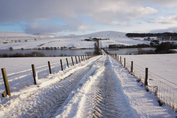 istock Snow tracks to farm 1207311011