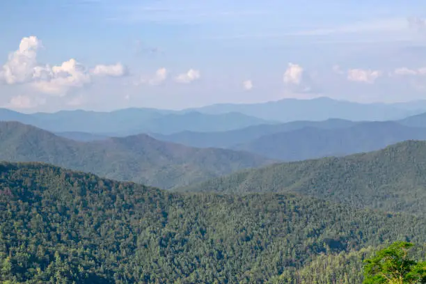 Great Smoky Mountains National Park with ranges, ridges and valleys in haze under blue sky and white clouds in  different green and blue shades in North Carolina, Uunited States of America