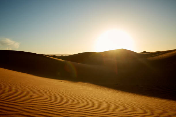 istock Desert dunes in the morning 3 1207315808