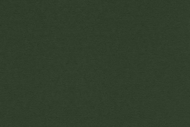 istock High Resolution Dark Pine Green Recycled Striped Kraft Paper Coarse Grain Texture 1207316122