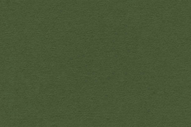 high resolution dark khaki green recycled striped kraft paper texture sample - paper paper mill mill factory photos et images de collection