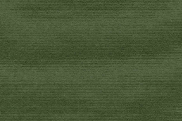 High resolution photograph of Dark Khaki Green Recycled Striped Kraft Paper coarse texture detail.