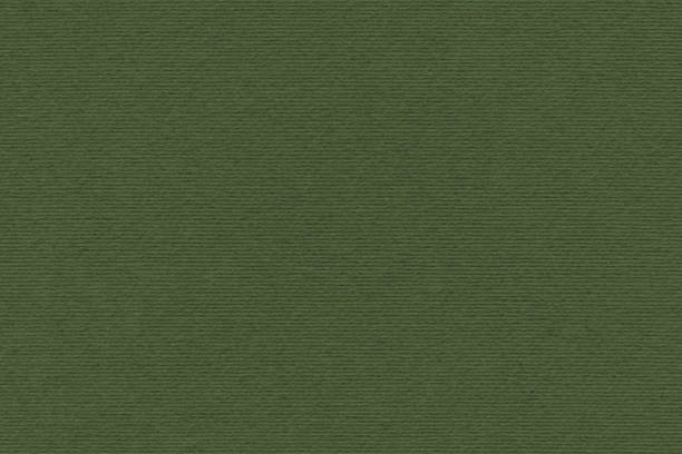 High Resolution Dark Khaki Green Recycled Striped Kraft Paper Texture Sample High resolution photograph of Dark Khaki Green Recycled Striped Kraft Paper coarse texture detail. khaki green photos stock pictures, royalty-free photos & images