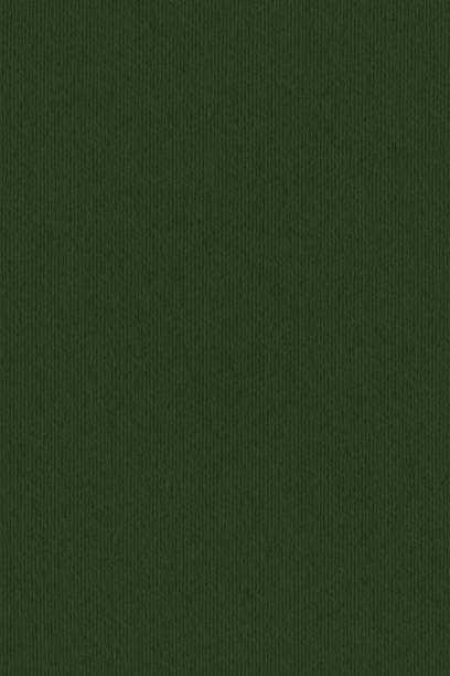 istock High Resolution Dark Pine Green Recycled Striped Kraft Paper Coarse Grain Texture 1207316376