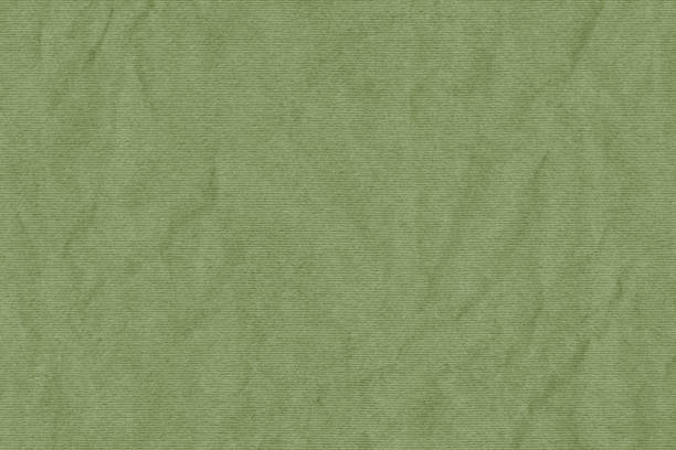 istock High Resolution Light Khaki Green Recycled Striped Kraft Paper Crumpled Texture Sample 1207316538