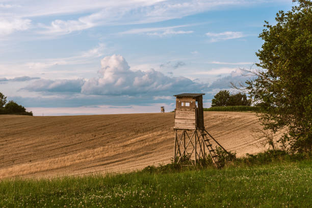 vue de paysage avec une perche de chasse - optics store photos et images de collection