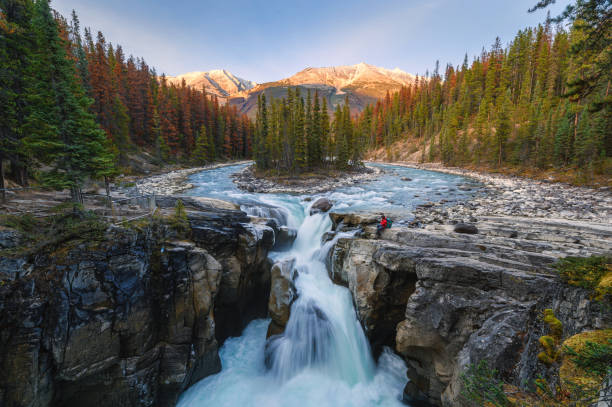 Sunwapta Falls with traveler sitting on rock in autumn forest at sunset Sunwapta Falls with traveler sitting on rock in autumn forest at sunset. Icefields Parkway, Jasper national park, Canada canadian rockies stock pictures, royalty-free photos & images