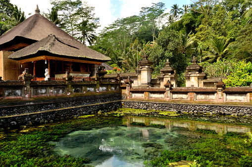 Closeup of the holy springs of Tirta Empul temple, Bali