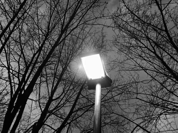 Bright electric street lights with bare trees in Background Bright electric street lights with bare trees in Background unique stock photo hope god lighting technique tree stock pictures, royalty-free photos & images