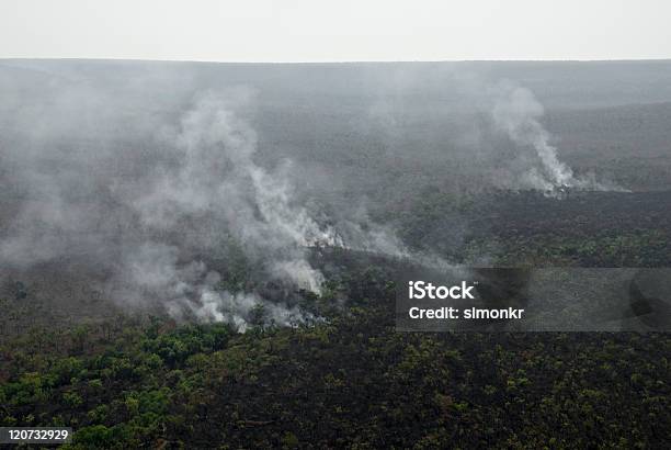 Bushfire Stockfoto und mehr Bilder von Luftaufnahme - Luftaufnahme, Feuer, Waldbrand