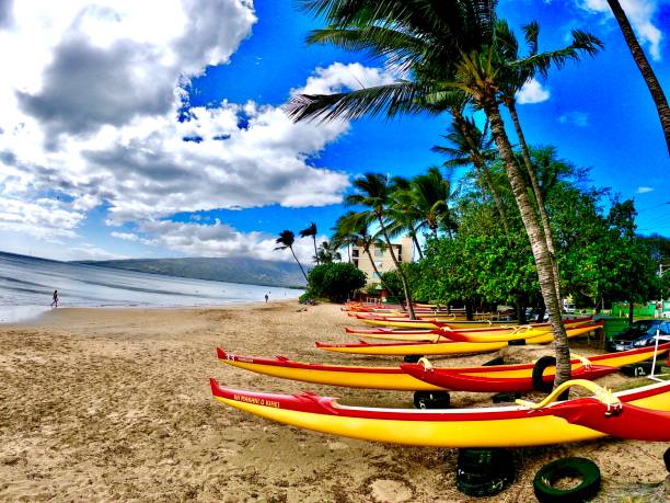 outrigger canoes on the sand water sports in maui, hi outrigger stock pictures, royalty-free photos & images