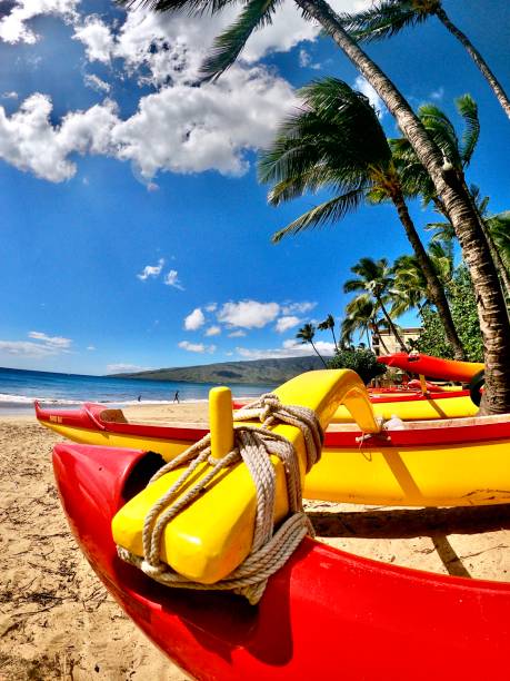 istock outrigger canoes on the sand 1207330989