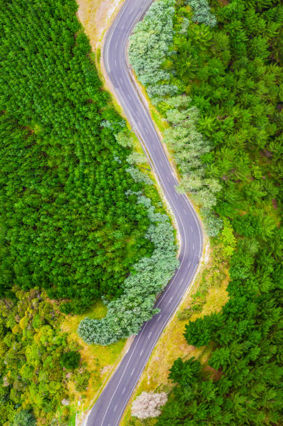 istock Curving country road from the air 1207331092