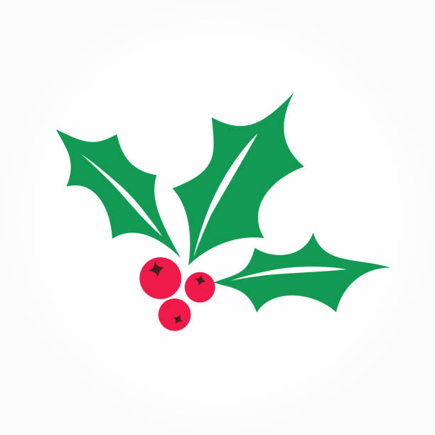 illustrazioni stock, clip art, cartoni animati e icone di tendenza di icona vettoriale di holly berry. illustrazione vischio natalizio isolat - christmas frame holly leaf