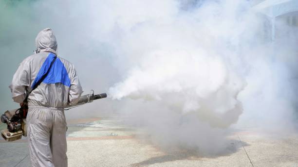 istock Worker using fogging machine spraying chemical to eliminate mosquitoes and prevent dengue fever 1207333165