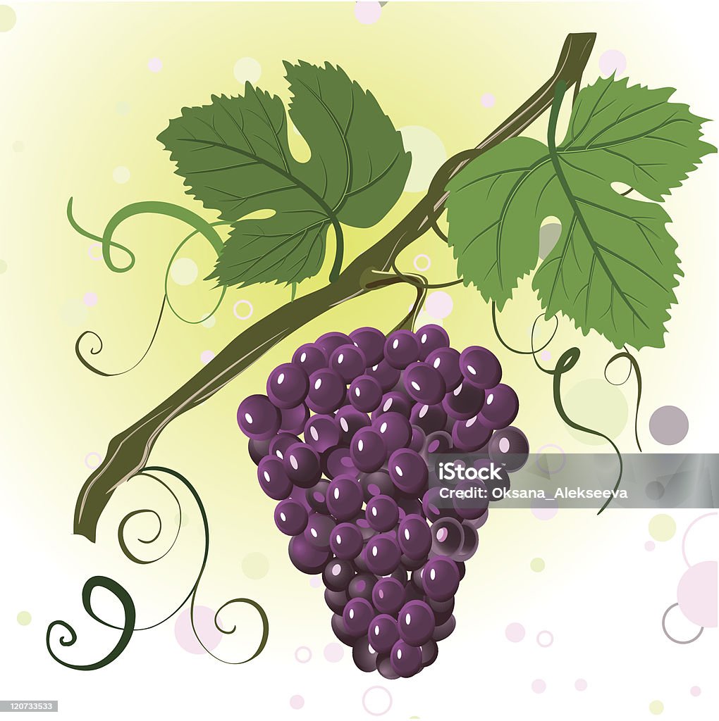 Ветви винограда - Векторная графика Без людей роялти-фри