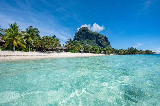 istock Le Morne Beach Luxury Resort, Mauritius. Feels like dreaming. 1207340337