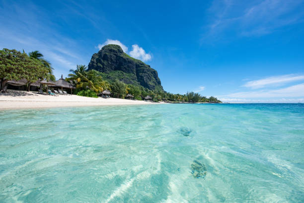 istock Le Morne Beach Luxury Resort, Mauritius. Feels like dreaming. 1207340402
