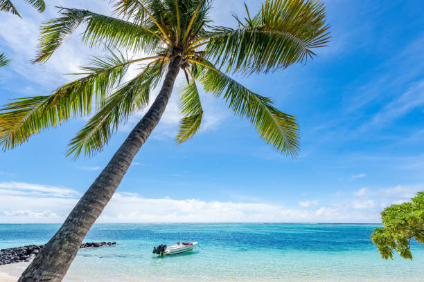 istock It doesn't get any better than Le Morne Beach, Mauritius. 1207341518