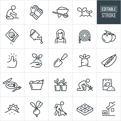 A set of vegetable gardening icons that include editable strokes or outlines using the EPS vector file. The icons include people gardening, gardener planting seeds, garden gloves, wheelbarrow, sprouting plants, seed packet, watering can, gardener, garden hose, tomatoes, green thumb, soil, plant growing, garden shovel, carrot, peas, vegetables, cultivation, fertilizer, beets, gardener raking, gardener nurturing plant, planter box and water harvesting to name a few.