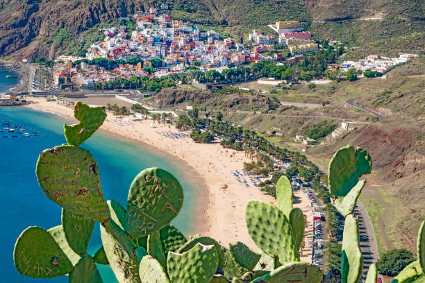 istock view to the beach Las Teresitas on Tenerife 1207347351