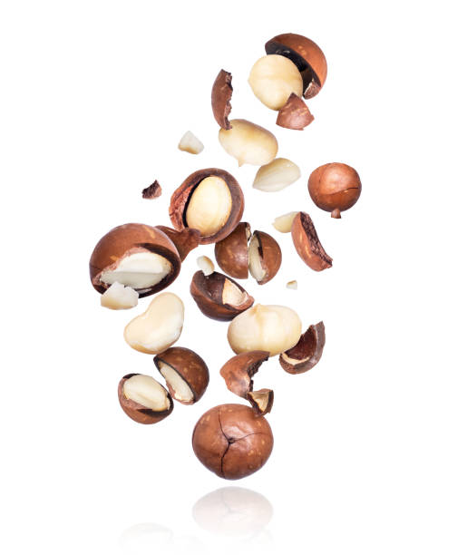 istock Group of macadamia nuts crushed in the air, isolated on white background 1207347620