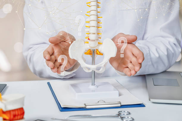 koncepcja odpowiedzi na pytania dotyczące diagnozy choroby kręgosłupa. - human spine human vertebra disk spinal zdjęcia i obrazy z banku zdjęć