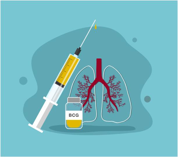 Ilustración de Vacunación y más Vectores Libres de Derechos de Vacunación - Vacunación, Bacteria de la tuberculosis, Investigación - iStock Ilustración de Vacunación y más Vectores Libres de Derechos de Vacunación - Vacunación, Bacteria de la tuberculosis, Investigación - iStock