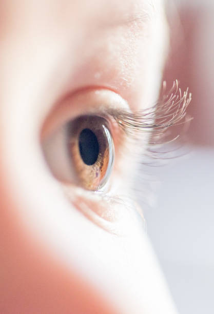 istock Human dark brown eyes close-up.  Side look 1207350558