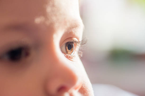 ciemnobrązowe oczy dziecka z bliska. wygląd strony - krótkowzroczność zdjęcia i obrazy z banku zdjęć