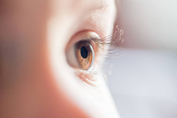istock Human dark brown eyes close-up.  Side look 1207350569