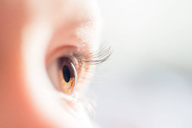Human dark brown eyes close-up.  Side look